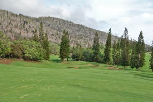 King Kamehameha 8th Fairway